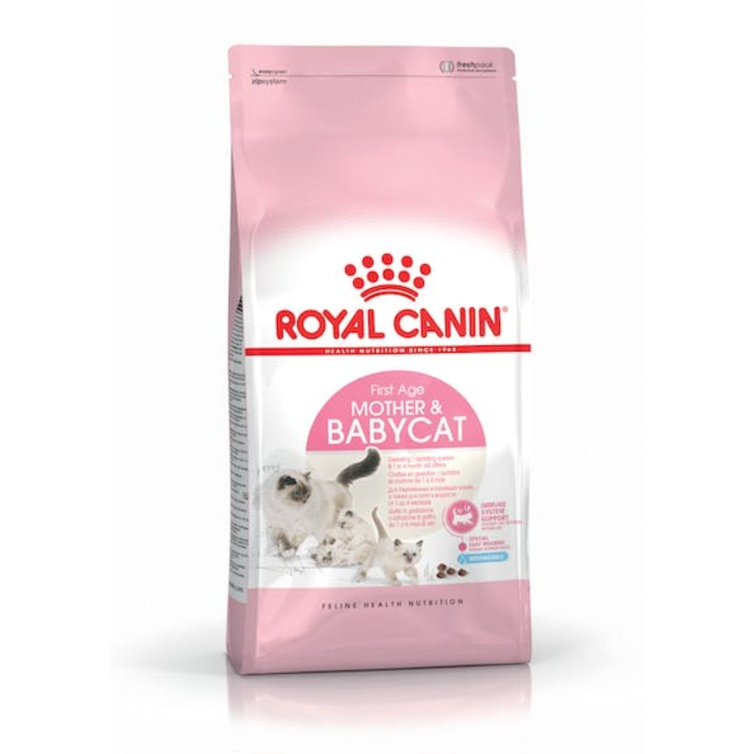 Royal Canin Mother n Baby Cat Dry Food – Pakistan's # 1 Quality Pet Food